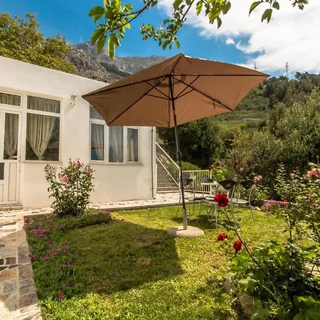 Vacation Petar Holiday home